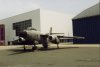 Vautour sur le tarmac du Bourget